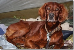 Langvann-Hurum-19-24 mai-09 010