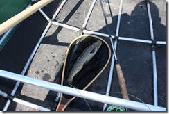 Øyangen-01juni09 001