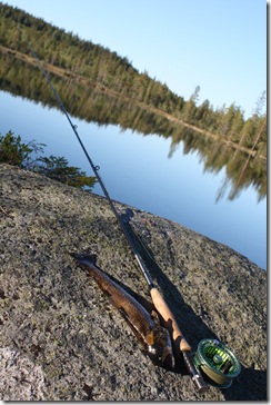 Øyangen-01juni09 005