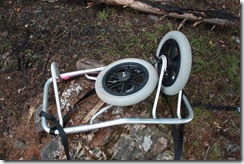 finnemarka-aug-09 009