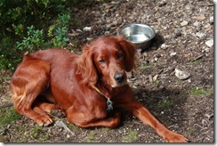 finnemarka-aug-09 015