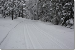 Drammensmarka-220110 015