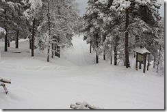 Drammensmarka-220110 037