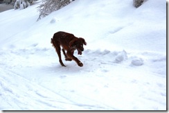 Drammensmarka-220110 039