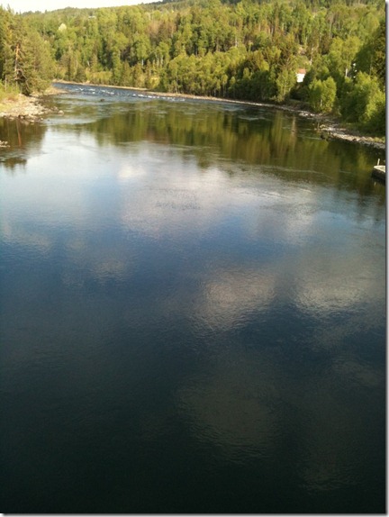 20110522-tinn&aring;a