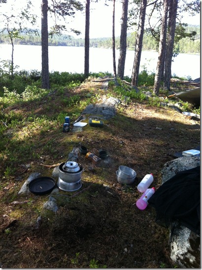 2011-pinse-frokostplass